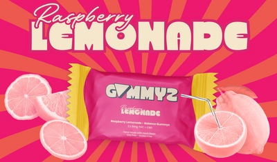 Raspberry Lemonade Gummies (2pc)