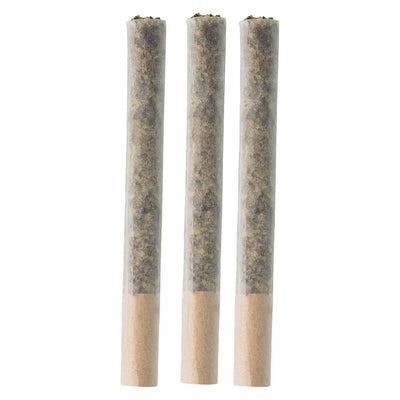 Three straight-cut pre-rolled joints with tan paper standing upright side by side.