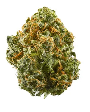 Close-up of a single dense, trichome-covered cannabis flower bud with orange pistils.