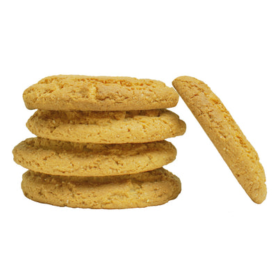Stack of round oatmeal chocolate chip cookies with a fifth cookie leaning against the stack, shown on a plain background.