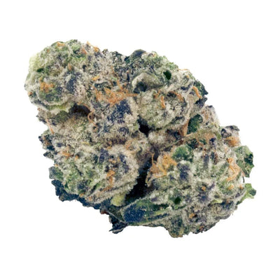 Dense cannabis flower bud with green and purple hues and visible orange hairs