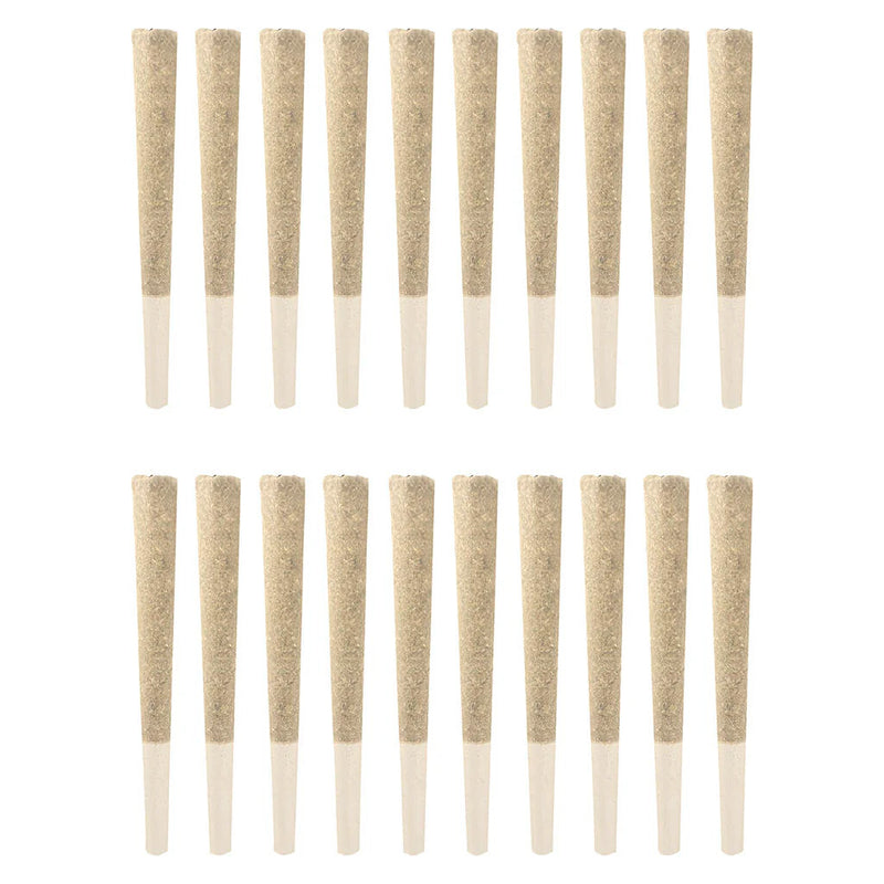 Twenty thin cone-shaped pre-rolls arranged in two rows of ten, showing pale ground flower and white paper filter tips.