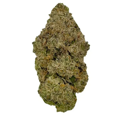 Single dense cannabis flower bud with light green and tan tones and visible trichomes.