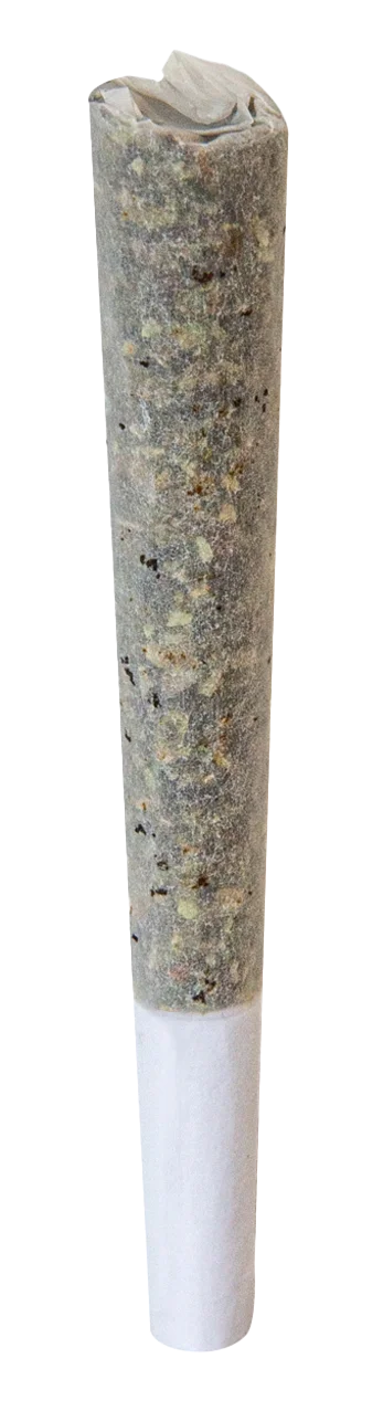 Close-up of the rolled Nostalgia Hash Infused Pre-Roll, its surface coated in light-colored kief and hash flecks, with a white paper filter tip.