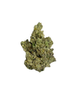 Jack Frosted
