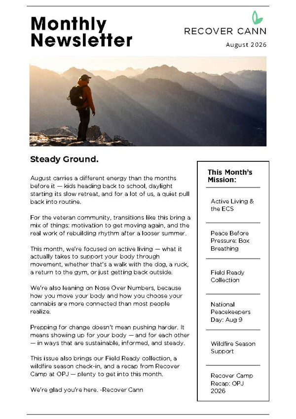 Steady Ground