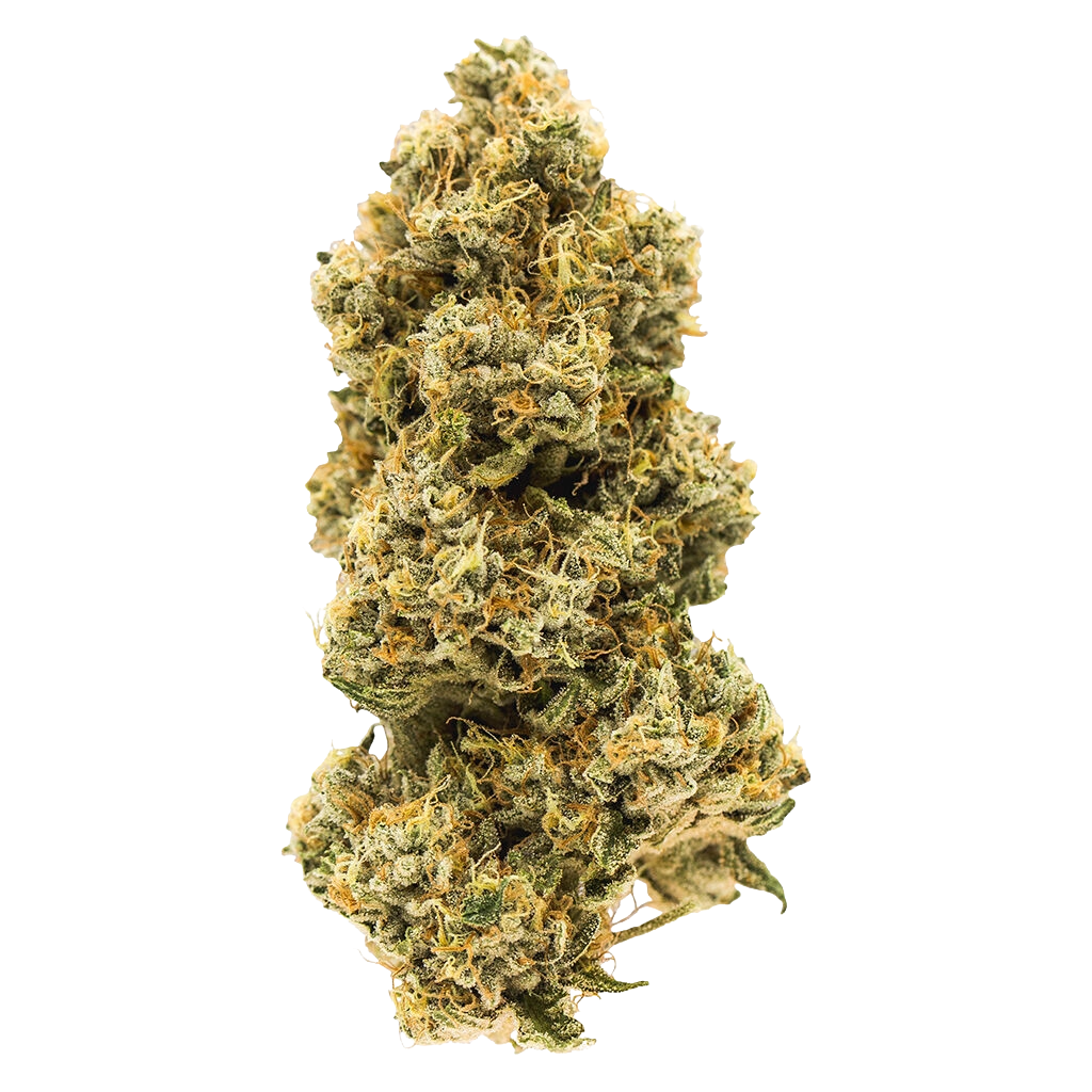 Single dried cannabis flower bud for Animal Face against a black background.