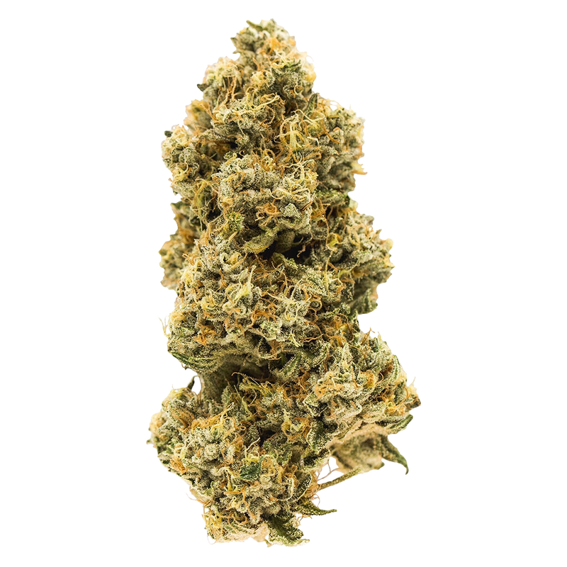 Single dried cannabis flower bud for Animal Face against a black background.