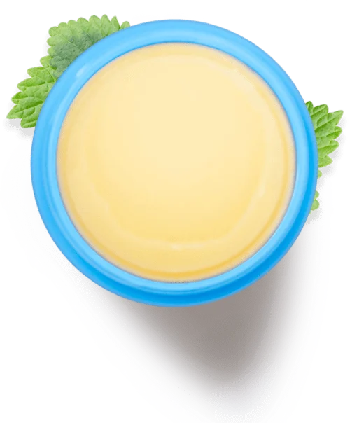 Top-down view of pale yellow balm in a blue container, surrounded by green mint leaves.