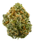 Close-up of a single dense, trichome-covered cannabis flower bud with orange pistils.