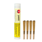 White tube labeled Jublee Extracts Bright Mind CBG Kief Dipped pre-rolls beside four kief-dipped pre-rolled joints.
