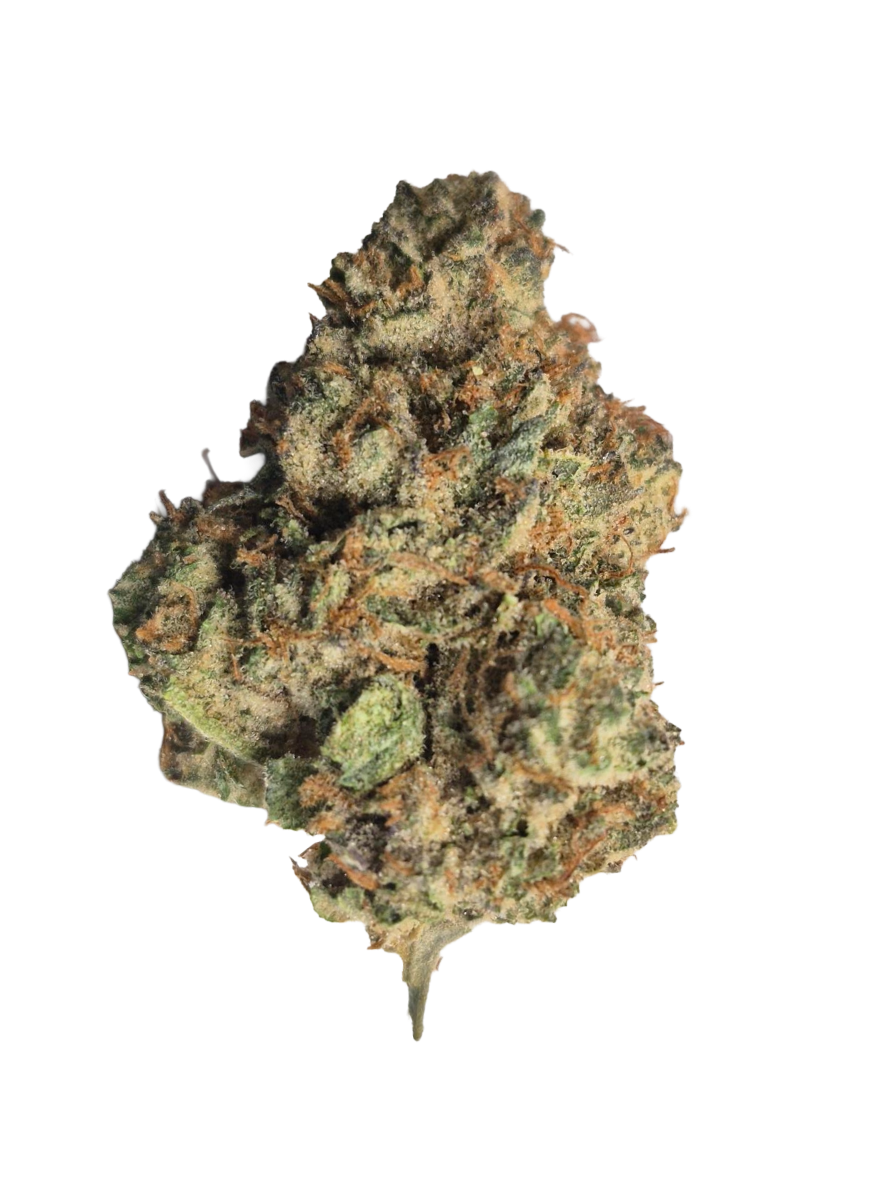 Close-up of a dense, trichome-covered cannabis flower bud with orange pistils against a black background.
