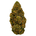 Single dense, trichome-covered cannabis flower bud with orange pistils, shown upright against a white background.