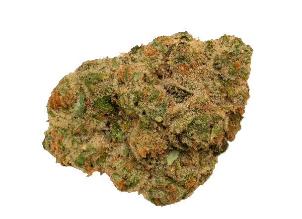 Close-up of a light green and orange cannabis flower bud coated in visible trichomes.