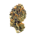 Single dense cannabis flower bud with dark green leaves and orange pistils.