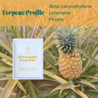 Pineapple Express Zero Waste Bath Bomb