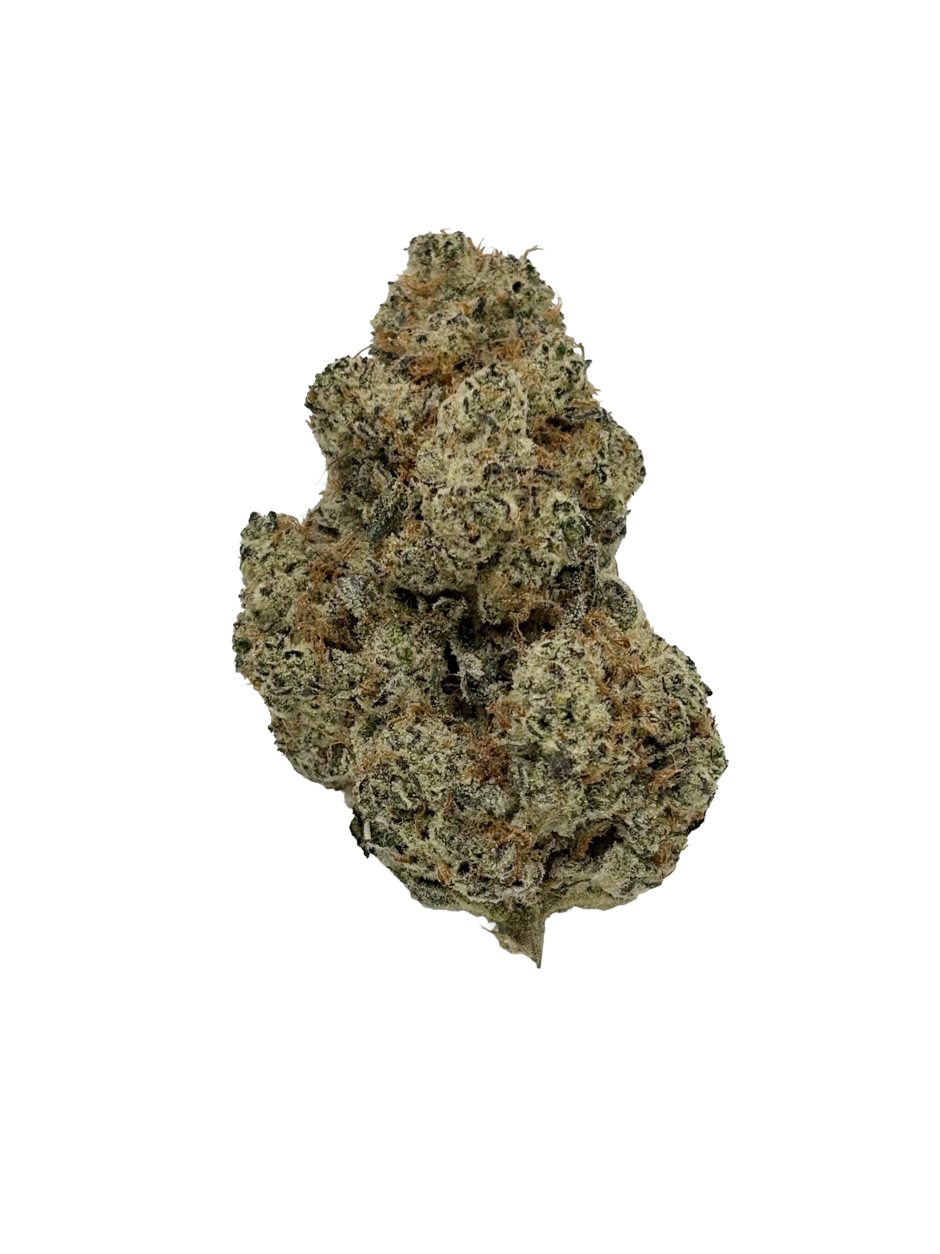 Close-up of a light green, trichome-covered cannabis flower bud against a black background.