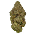 Single dense cannabis flower bud with light green and tan tones and visible trichomes.